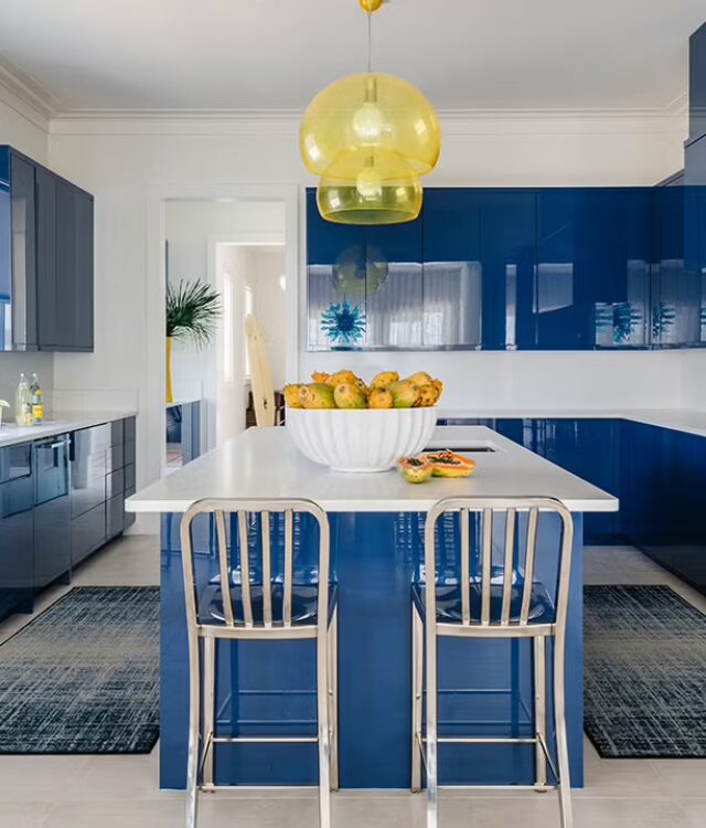 troy-spurlin-interiors-polina-pigulevsky-photography-3-66e0919c64404