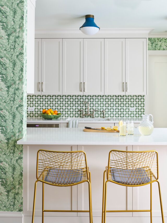 Elevate Your Kitchen with Professional Kitchen Remodeling